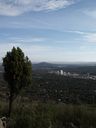 Woden