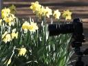 Floriade 2006
