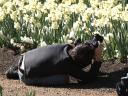 Floriade 2006