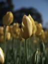 Floriade 2006