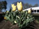Floriade 2006