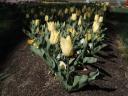 Floriade 2006