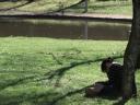 Floriade 2006