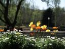 Floriade 2006