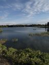 Am See