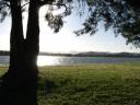 Am See