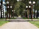 Northbourne Avenue