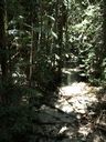 Im Regenwald auf Fraser Island