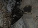 Wellington Caves